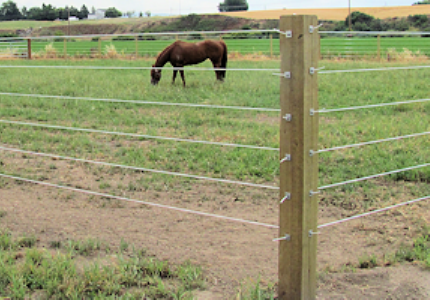 Fencing_Polymer Strand cropped 2