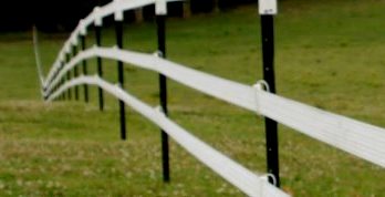 Fencing_Tape Cropped