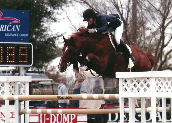 Stallion_Online Jumping