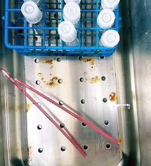 Analysis of Frozen Thawed Semen_Straws in Water Bath