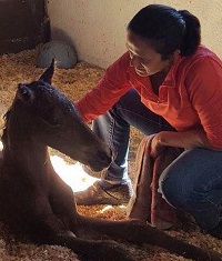 WellGrove - Erin with Foal 