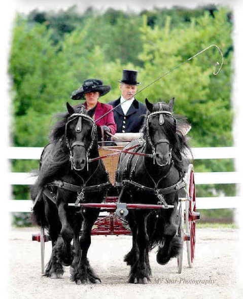 driving pair