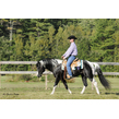  dsc7147%20riding%20%28c%29%20dusty%20perin
