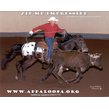 Appaloosa