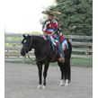 Zips chocolate chip  29 years young    ann myers 2014 %c2%a1ole'!