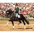 Dream rubin de luxe lic. son wins 10th prix st. george in europe
