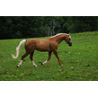 Addnl photo 4