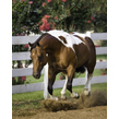 080901 haverty 122