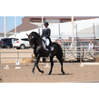 Bar a ranch samaritano ix and missy gilliland
