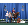 Srp 2023 d.stockstill released