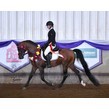 21yn 13827 henderson web