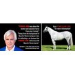 Bob baffert triple