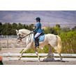2022 05 blue ribbon 0262 edit