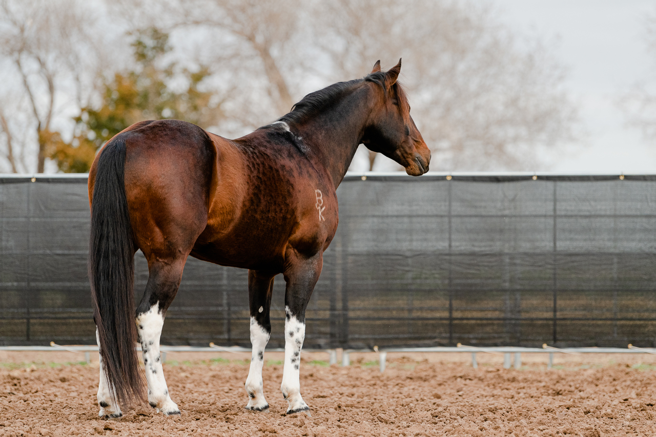 Select Breeders Services - Color Proof