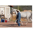 Serr mashkour %28fa lothar azaba x ssh serahsaafa by almoraima el cid%29 nov 6 22