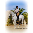  dsf4634copy alanvweb
