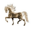 Davincihorsegold