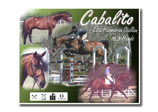 Cabalito lg