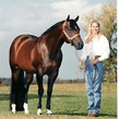 Zips chocolate chip   ann 1996 don shugart