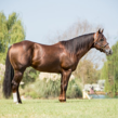 Feelthesting profile updated