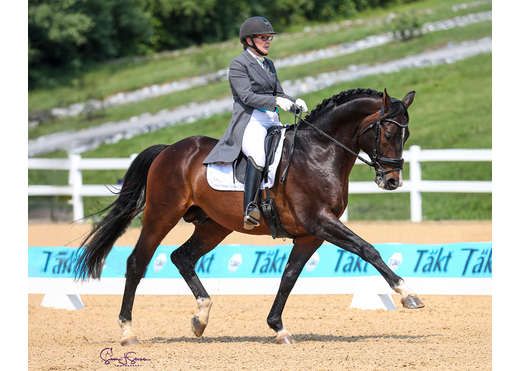 Royal tourmalet us 2 susan j stickle web 1000x800