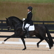 Vaj 1812
