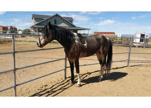 Fb img 1517174864148