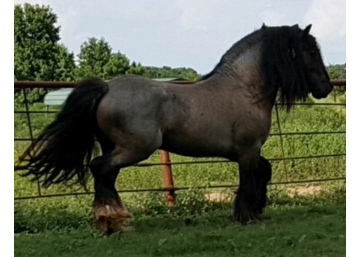 1afe3181 c6f8 492b a8a0 a36c4cb0beaa