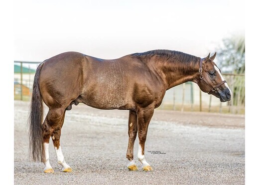 Reyzin the cash hero 1