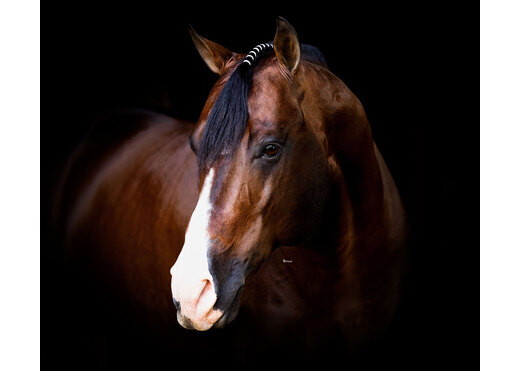 Smoking trash headshot %281%29