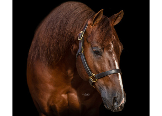 Super marioo head v %284%29