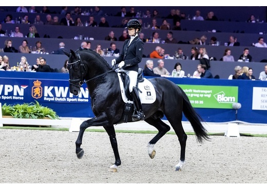 Nalegro draf den bosch