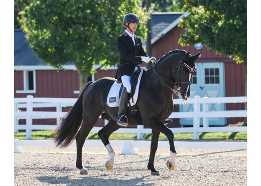 Denmark us 14 susan j stickle web 1000x800