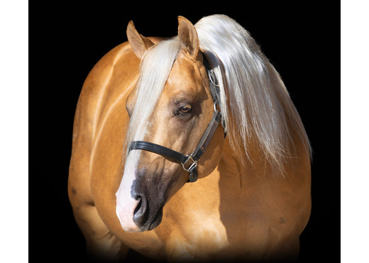 Pg mega shine chic headshot 6