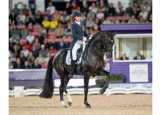 Salvino us 8 shannon brinkman web 1000x800