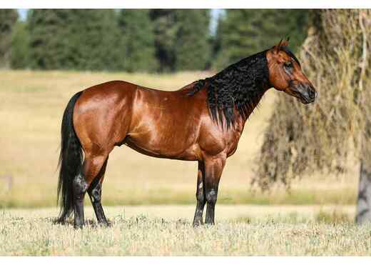 11e2eb50 49bf 410c ac80 9814cb1feb8c