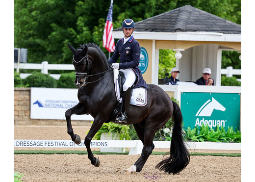 Indian rock us 12 susan j stickle web 1000x800