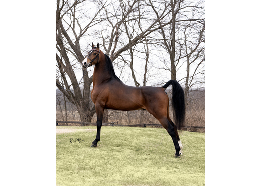 Rosehavenjan3 190 oliver