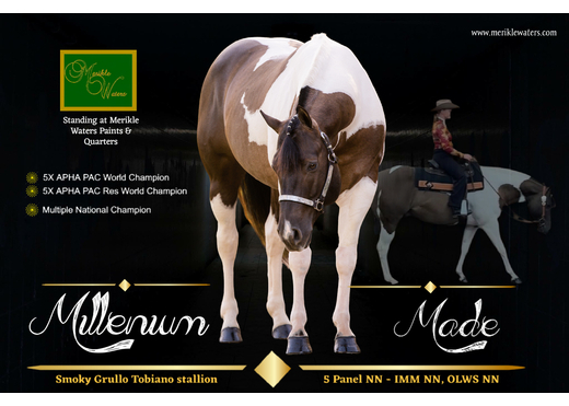 Mateo 2025 may extra