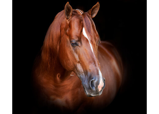 Spooks gotta tinsel headshot %283%29