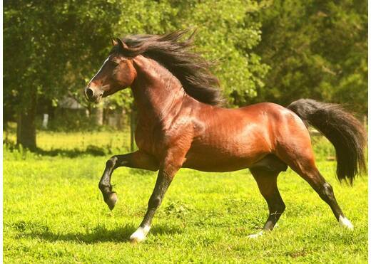 18871532 10208279636540121 1064656194 n