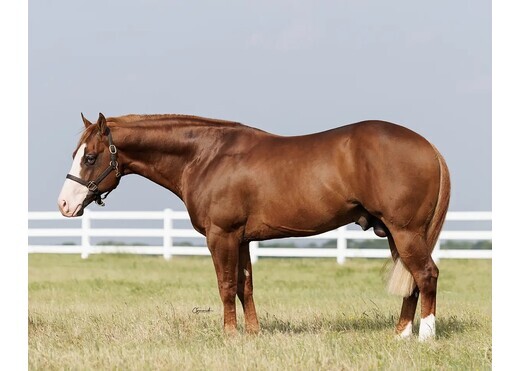 Americas gunslinger hero