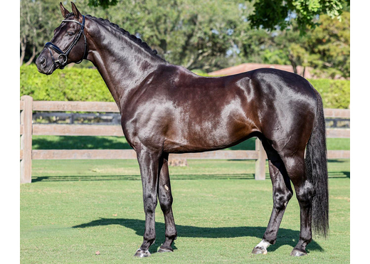 One million cf 3 web 1000x800