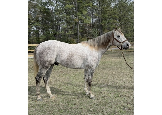 1da7dede 1a6a 4e7a a9d8 7bb55ae9f9b8