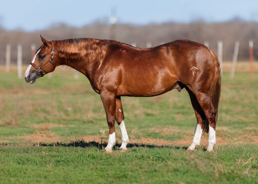 Tried to tell ya side confirmation