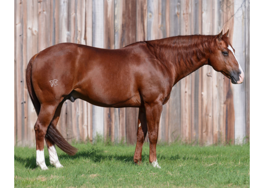 Smooth talkin style side conformation