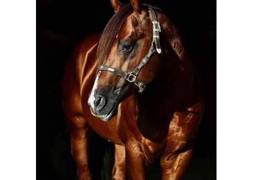 Ima one time pepto profile