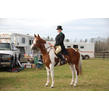 Horse%20trail%20at%20bear%20creek%20002