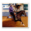 Starlightswrangler sm